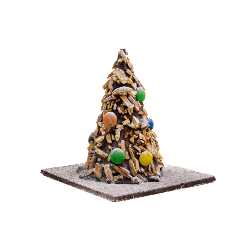 Colourful Nugget Pine - Happy Christmas